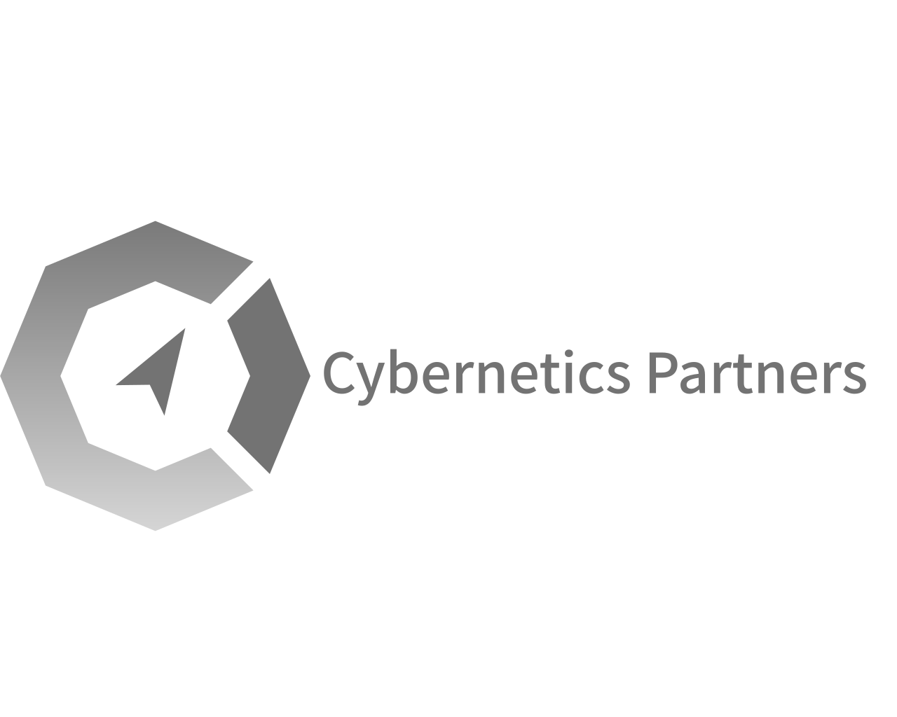 Introducing Cybernetics Partners